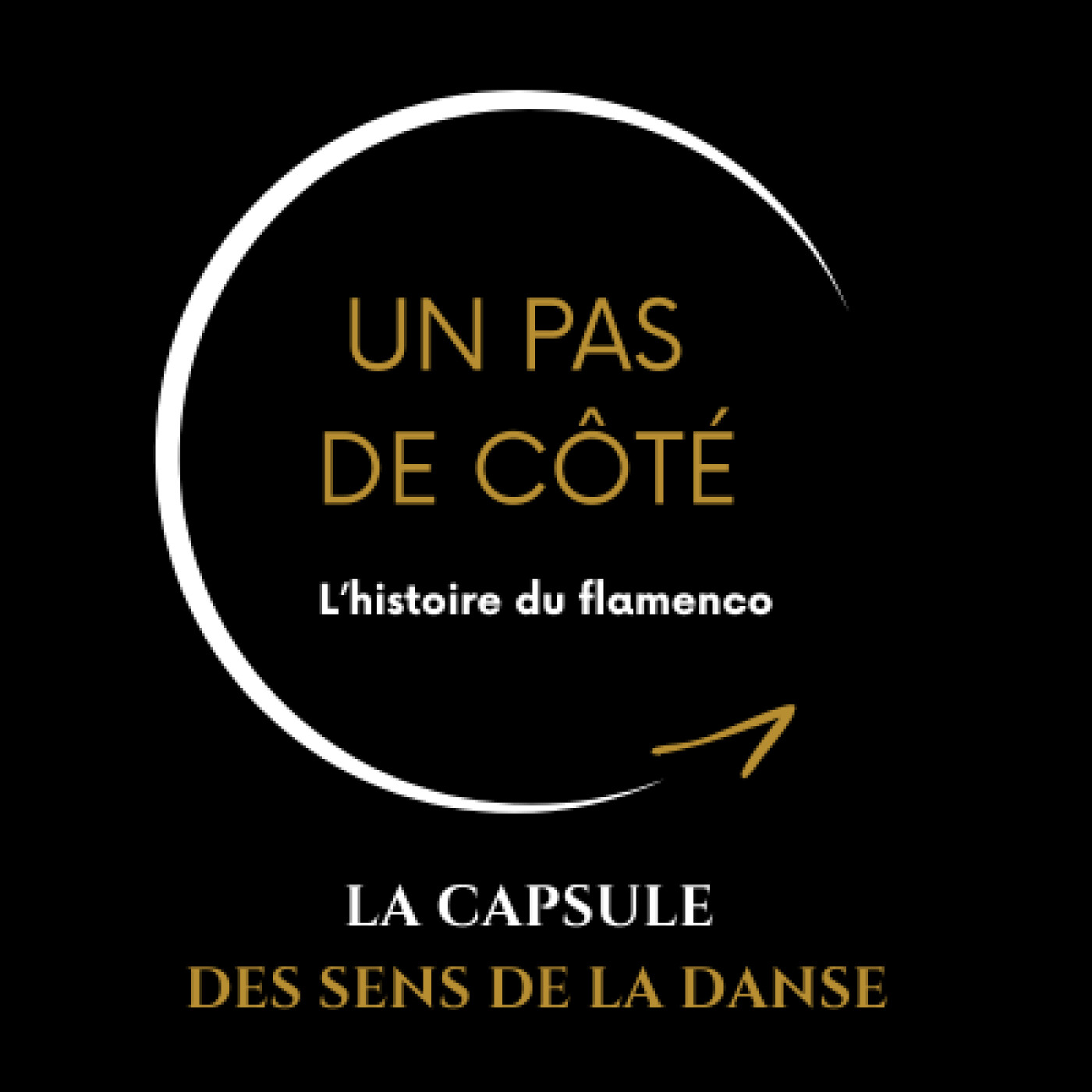 Un pas de côté - L'histoire du flamenco Un pas de côté - L'histoire du flamenco