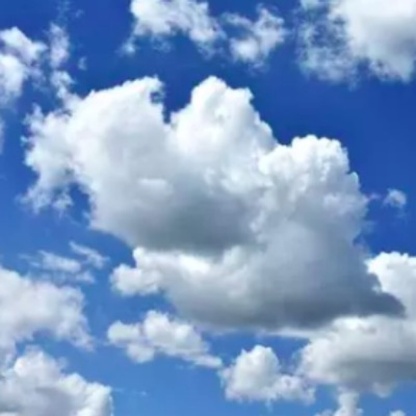 RADIO WNE Warum Net Experience