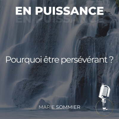 Pourquoi être persévérant ? cover