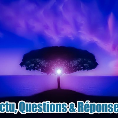 Actu, Questions & Réponses - 28-12-2021 cover