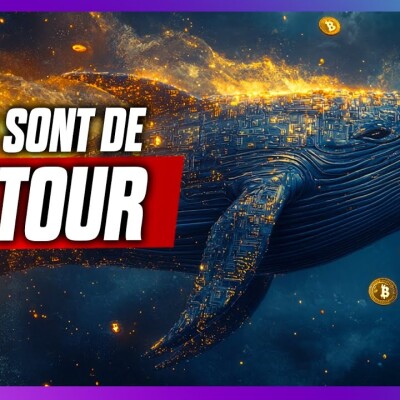 🚨Il faut tenir ce niveau IMPORTANT pour Bitcoin et les cryptos cover