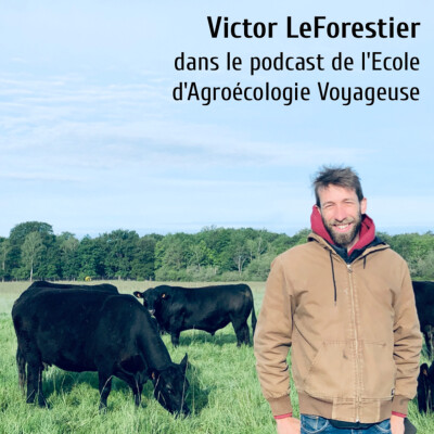 #19 Victor Leforestier : 🥔🌱 Sol Vivant, Patate et Ferme Agroécologique cover