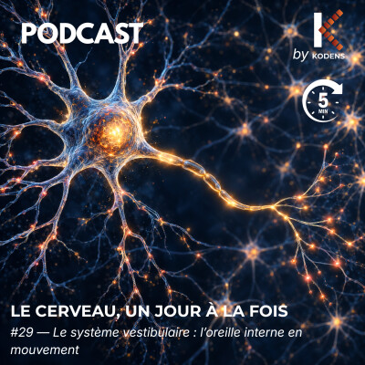 Épisode #29 — Le système vestibulaire : l’oreille interne en mouvement cover