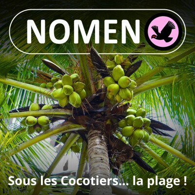 SPÉCIAL COCOTIER : Sous les Cocotiers, la plage ! cover