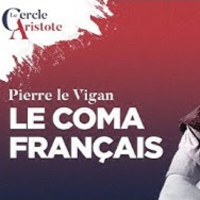 Le coma français - P. le Vigan - # politique cover