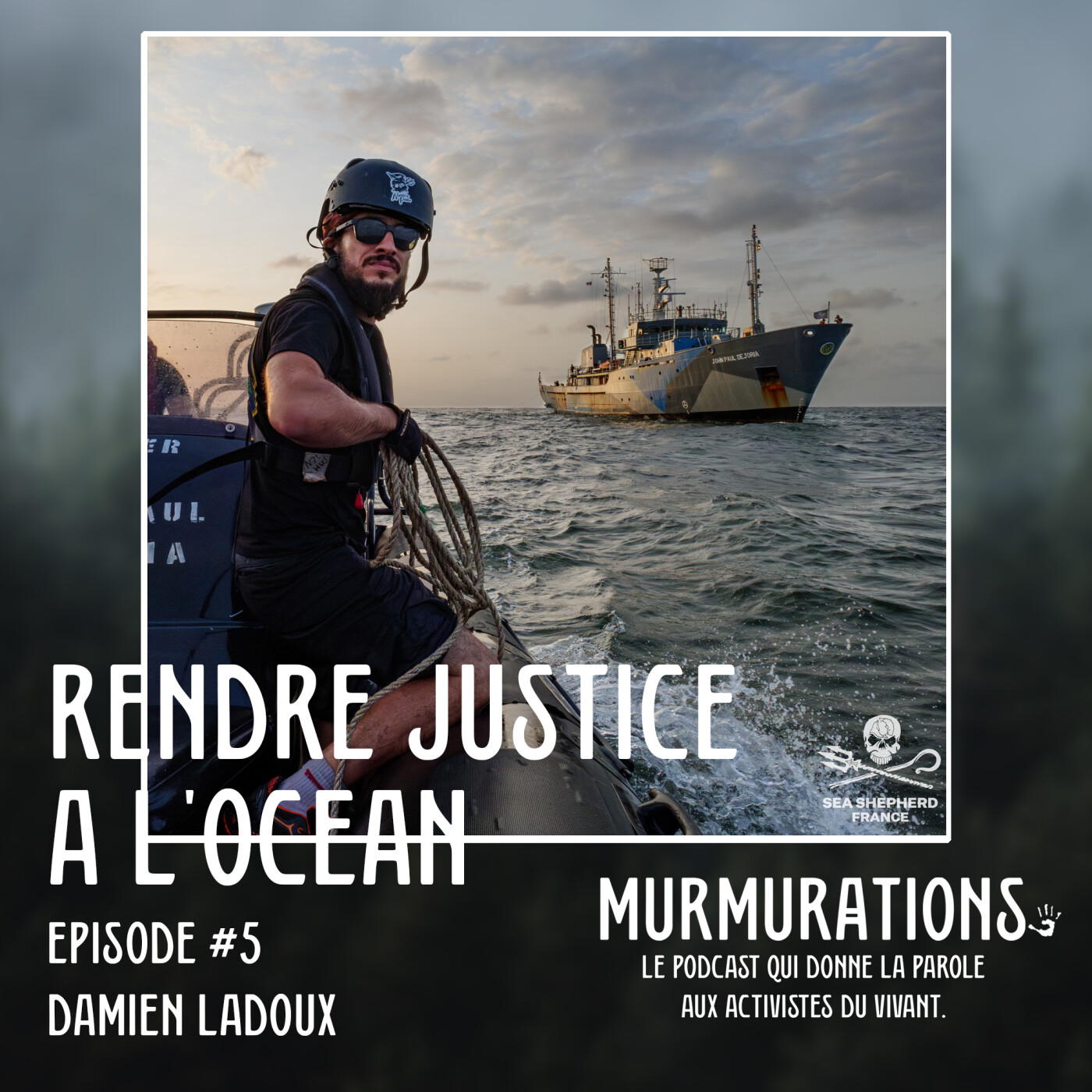 Damien Ladoux de Sea Shepherd – Rendre justice à l’océan / MURMURATIONS
