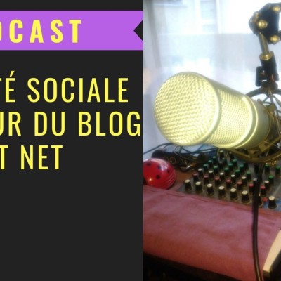 -l'anxiété sociale au coeur du blog zèbre et net cover