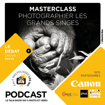 LE GRAND DÉBAT - S1110 - MASTERCLASS : PHOTOGRAPHIER LES GRANDS SINGES cover