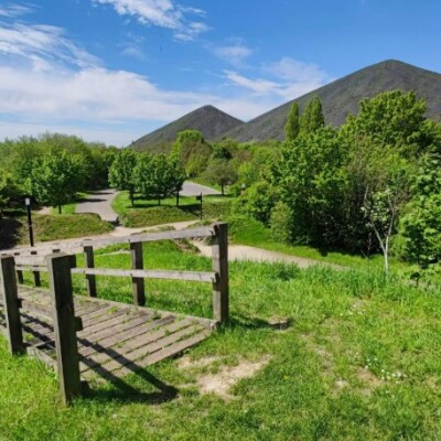 Loos-en-Gohelle : l’ascension des terrils, un patrimoine à ciel ouvert ! cover