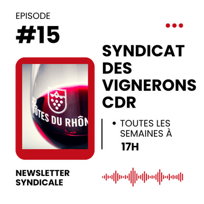 Newsletter Syndicale n°15 - 2026 cover