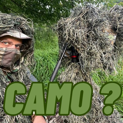 Camouflage en photo animalière : invisible en forêt ? Trucs et astuces selon votre budget cover