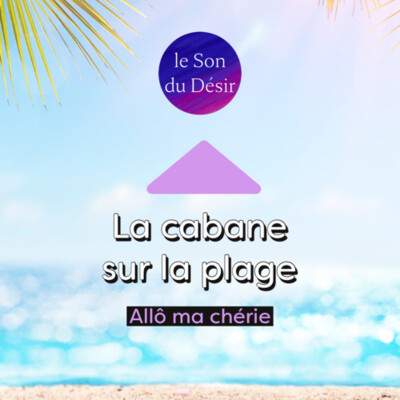 Appel 114 : La cabane sur la plage ? cover