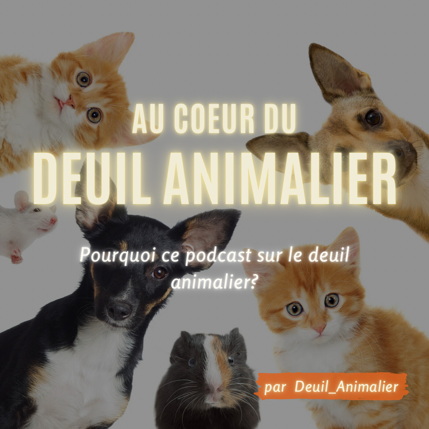 Au cœur du deuil animalier