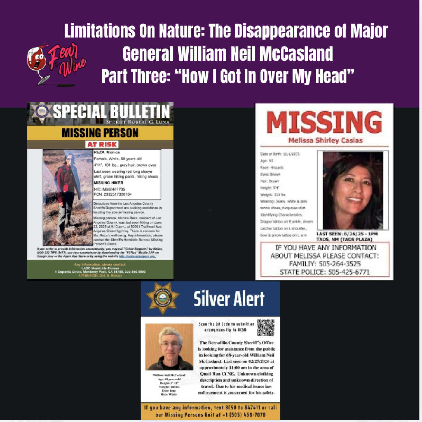 Limitations On Nature: The Disappearance of Major General William Neil McCasland - Part Three: How I Got In Over My Head episode artwork
