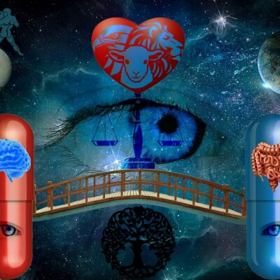 Le pont entre deux pôles - 11-04-23 cover