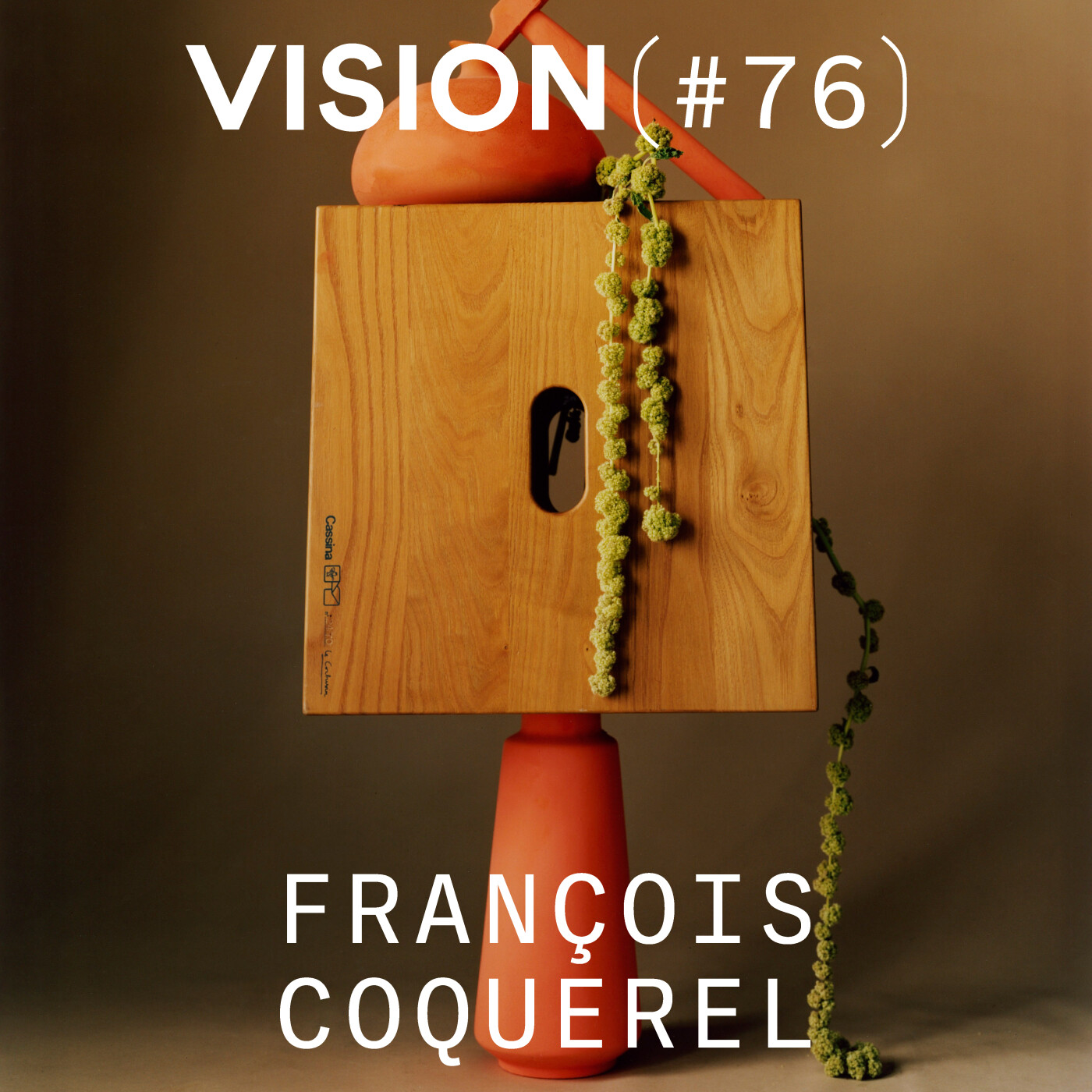 VISION #76 â FRANĂOIS COQUEREL | L'observation du banal