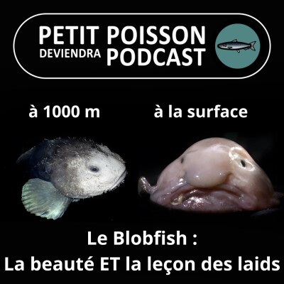 S05E03 Le Poisson Blob, élu "animal le plus laid du monde" cover