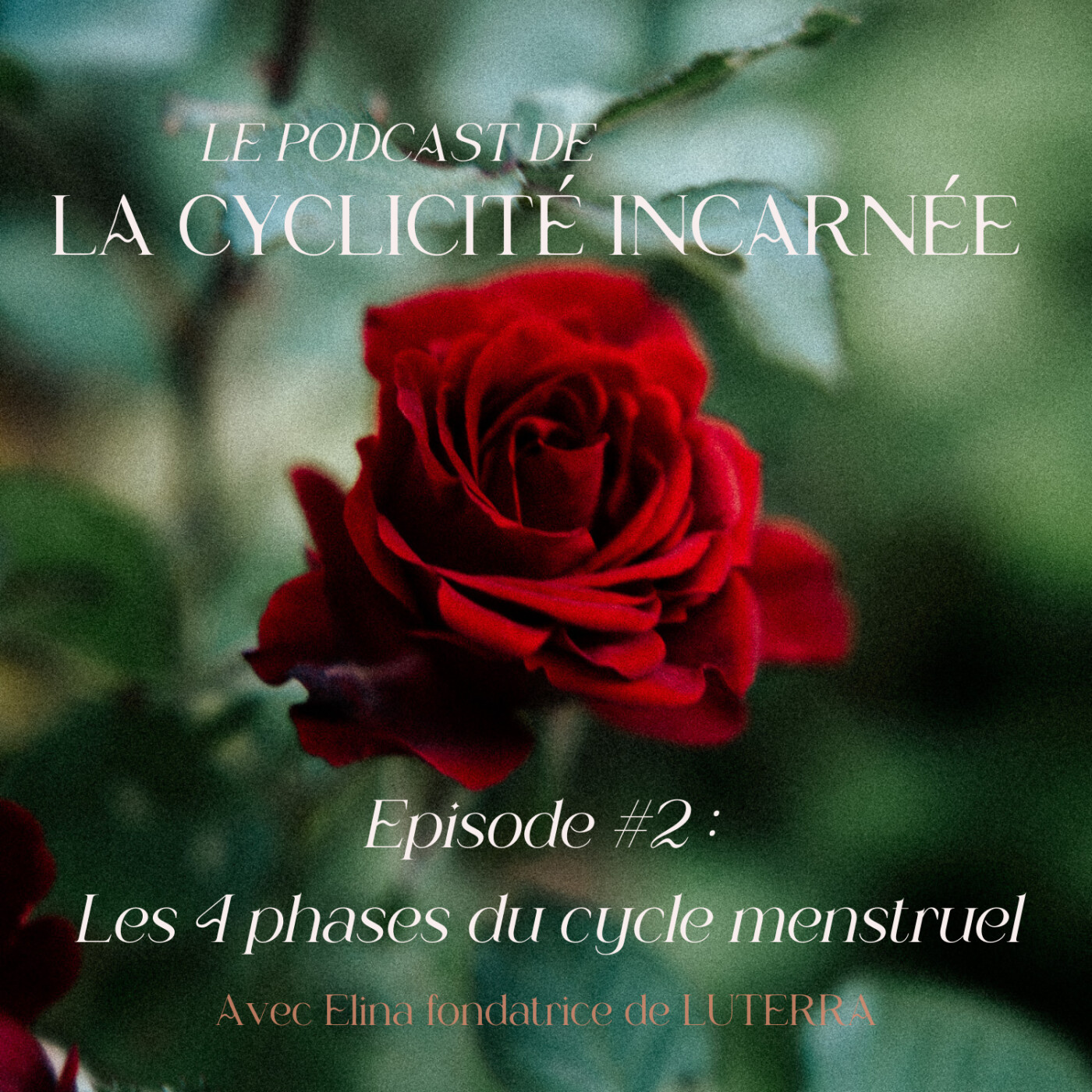 Cyclicité Incarnée