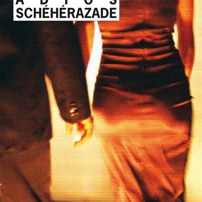 Dans la bibliothèque de Laurent Queyssi cover