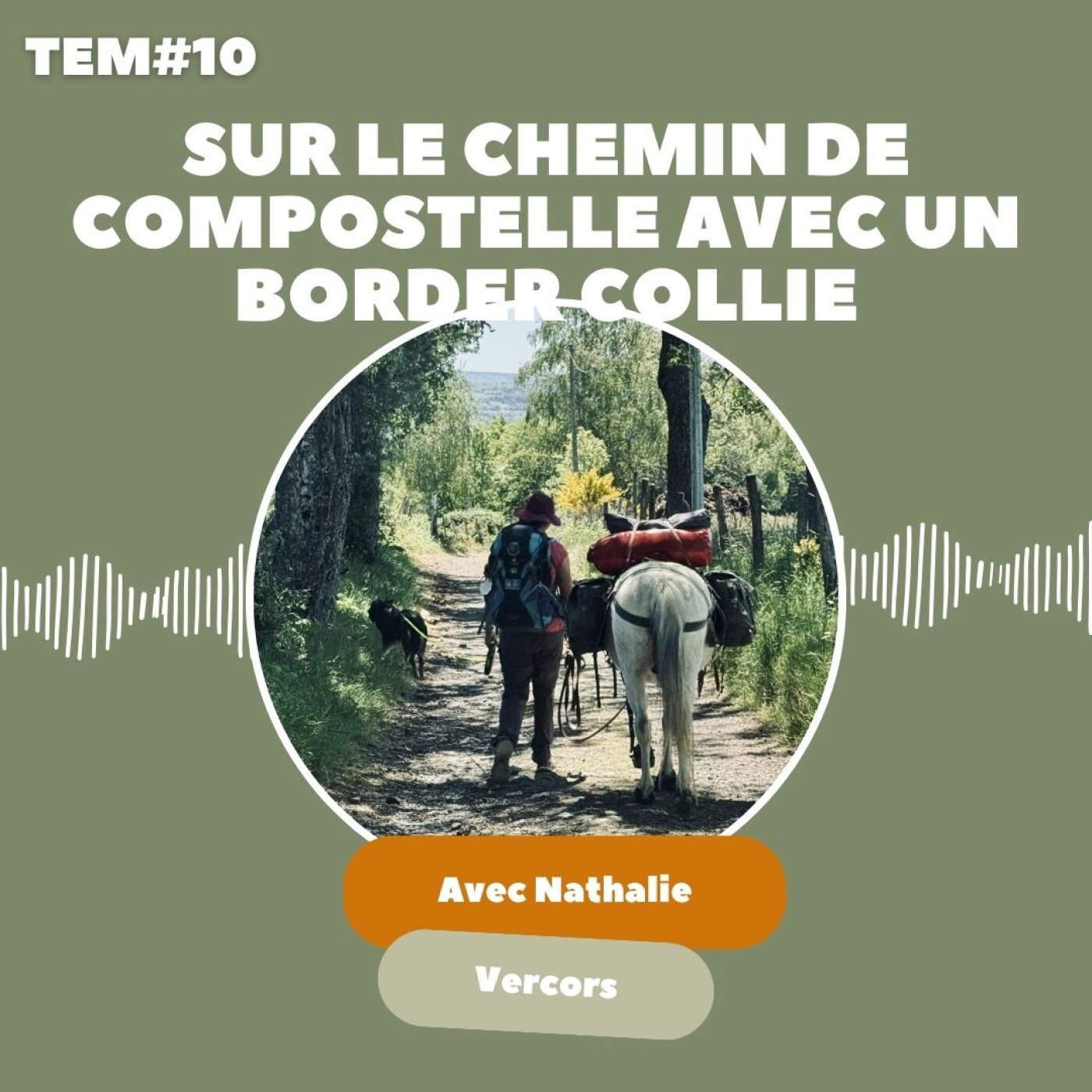 TEM10 : Nathalie & Vercors - Sur les chemins de Saint Jacques de Compostelle avec un chien