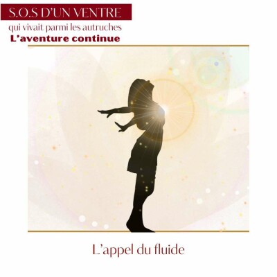 Episode 25 : L'appel du fluide cover