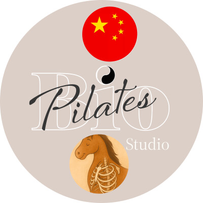 🇨🇳 🐎 馬與人:骨盆平衡與協調之道 cover