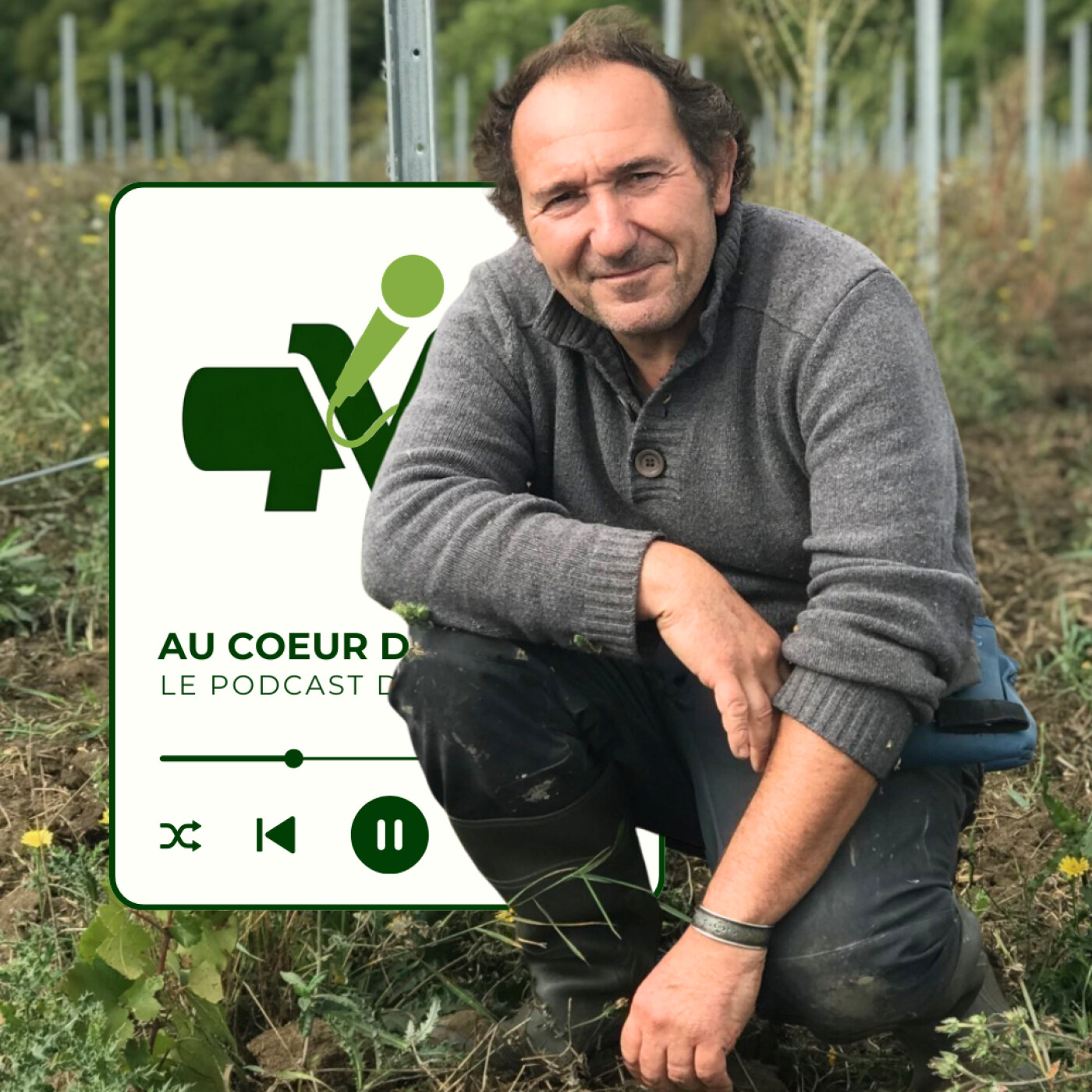 Île-de-France I Coteaux du Montguichet I Pierric Petit I Chronique d'un domaine francilien en pleine affirmation(Extrait) episode artwork