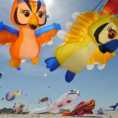 Il y en a de toutes les couleurs ! cover