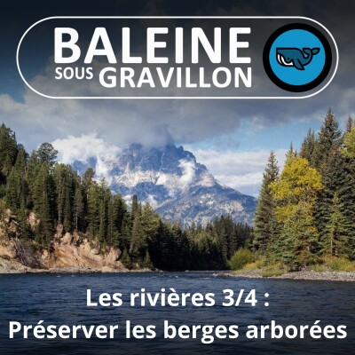 HORS-SÉRIE Les rivières 3/4 : préserver les berges arborées  (une émission du Greenletter Club avec les époux Cochet) cover