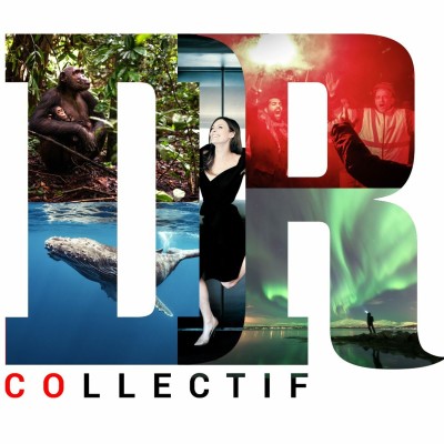 #85 - Des news du Collectif DR ! cover