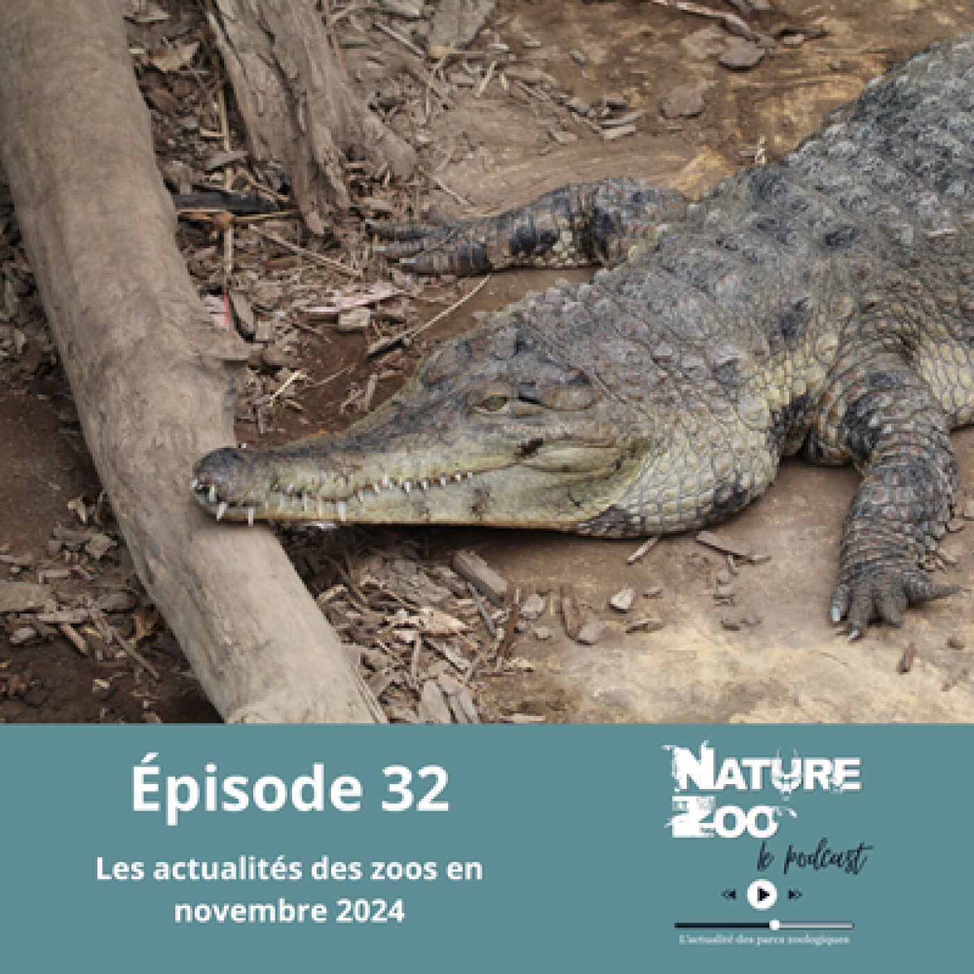 Nature et Zoo - Le Podcast