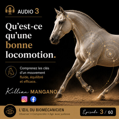 Audio 3 - Qu'est-ce qu'une bonne locomotion cover