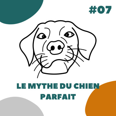 Le mythe du chien parfait - DLN07 cover