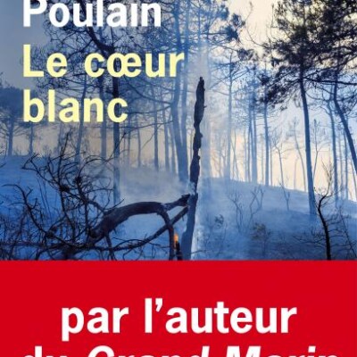 Le cœur blanc cover