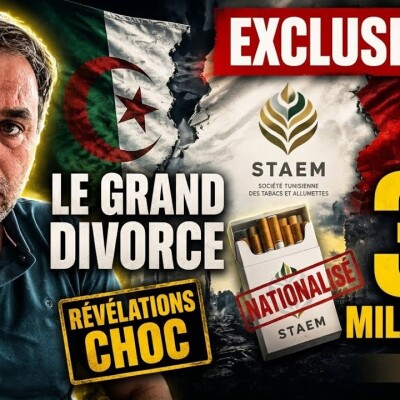 🚨 EXCLUSIF : L'Algérie nationalise la STAEM ! Le divorce à 3,5 Milliards $ avec les Émirats cover
