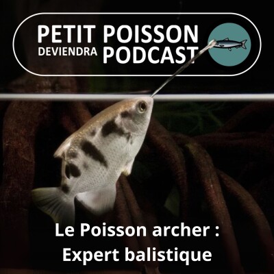Show cover