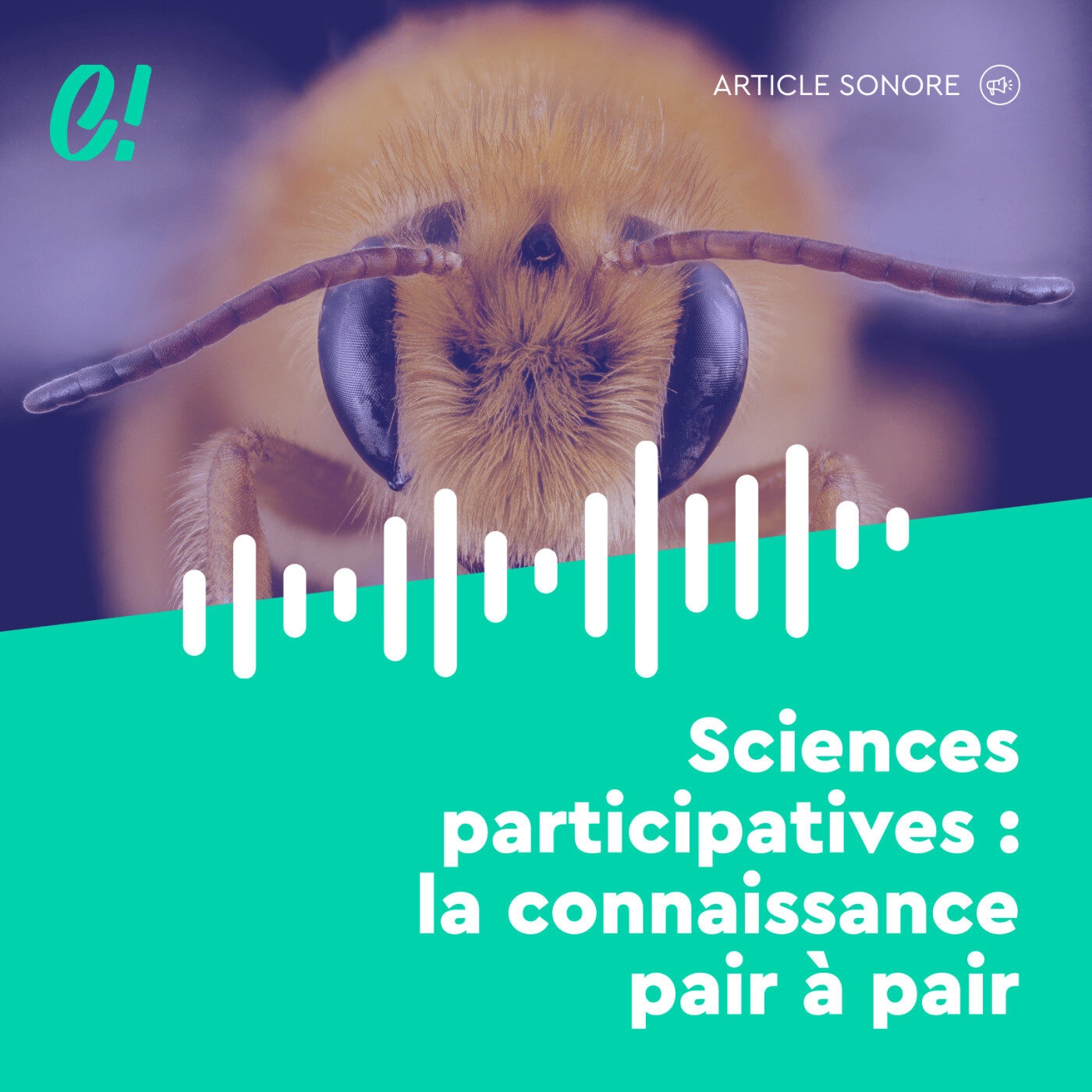 Les articles sonores
