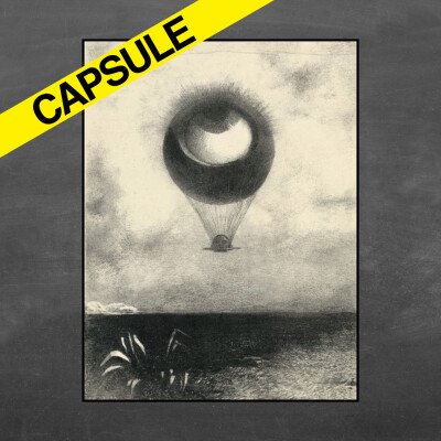 [CAPSULE] 💡 La nature a-t-elle un but ? cover