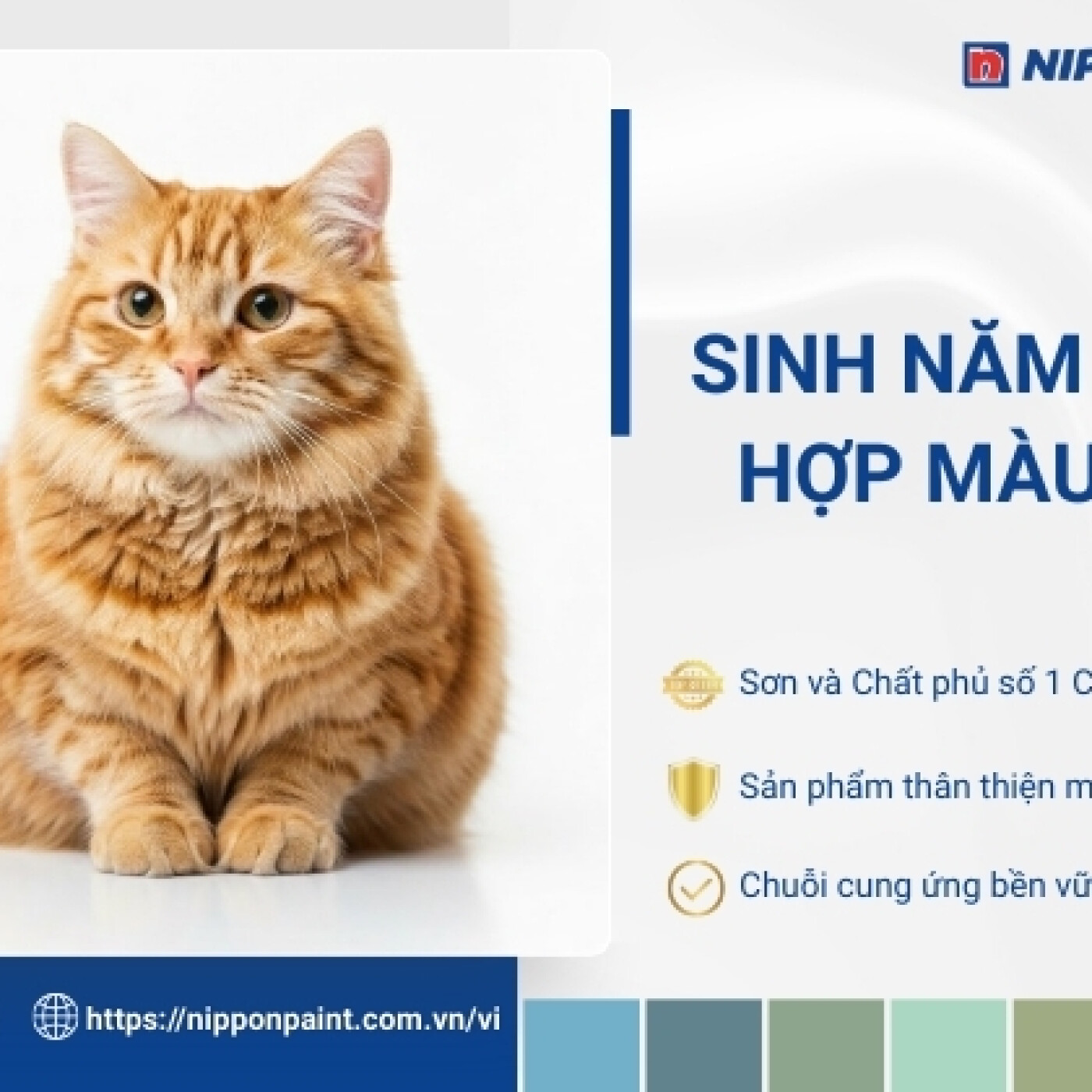 1999 hop mau gi episode artwork