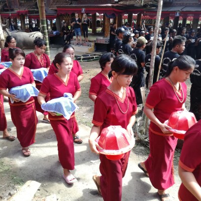 Chapter 8 : Trail of blood cover