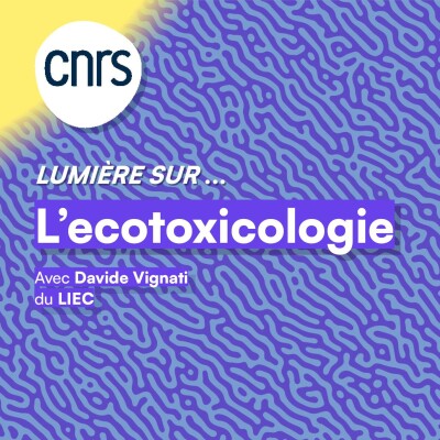 Lumière sur... L'écotoxicologie cover
