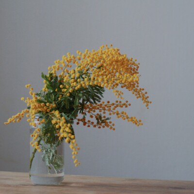 Confessionnal de bain : 1 salle de bain pour 2, Teo&Christophe cover