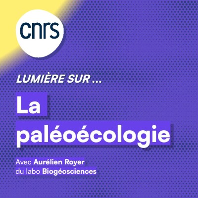 Lumière sur... La paléoécologie cover