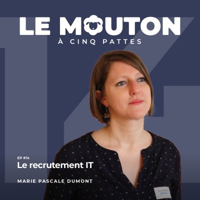 #EP14 - Le recrutement IT — Avec Marie Pascale Dumont cover