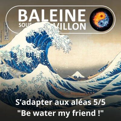 S08E05 S'adapter aux aléas 5/5 : "Be water my friend !" (Éric Daniel-Lacombe) cover