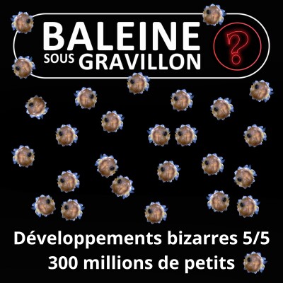 S07E130 Vous avez dit bizarre ? Développement 5/5 : Les 300 millions de petits du Poisson-lune cover