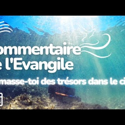 Commentaire de l'Évangile | Homélie – Dimanche 31 juillet • « Amasse toi des trésors dans le ciel cover