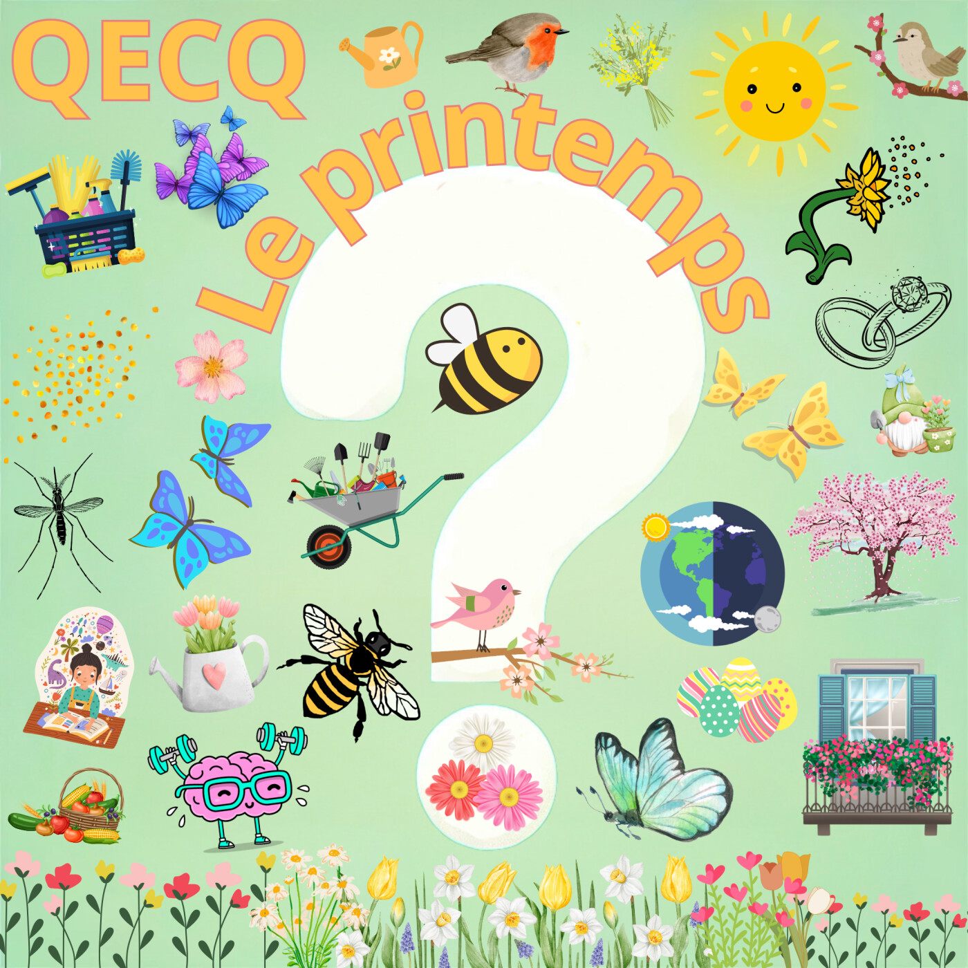 QECQ - Qu\'est-ce que ?