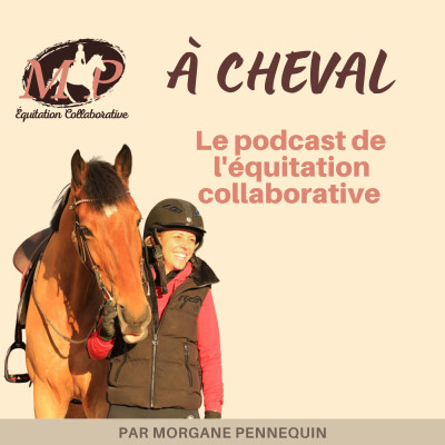 83. [Parole de propriétaire] Le cadre comme moyen de sécuriser mon cheval cover