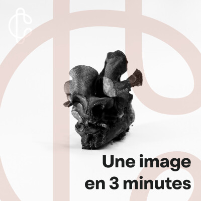 Grégoire Eloy : "Le bryozoaire recèle un pouvoir de fascination sans égal" - Une image en 3 minutes Ep02 cover